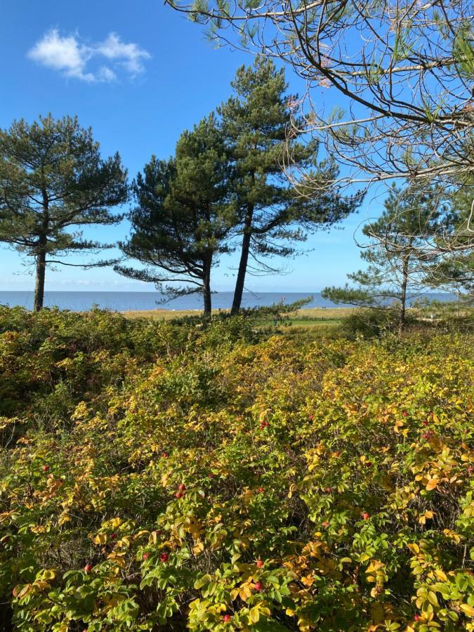 Altes Pastorenhus - Land Und Meer Osterbruch Buitenkant foto