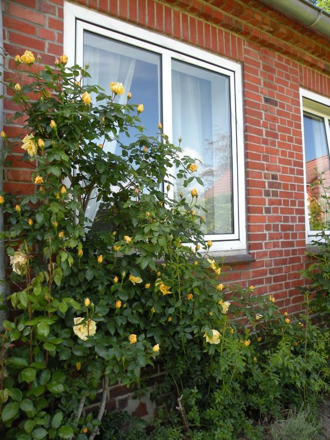 Altes Pastorenhus - Land Und Meer Osterbruch Buitenkant foto
